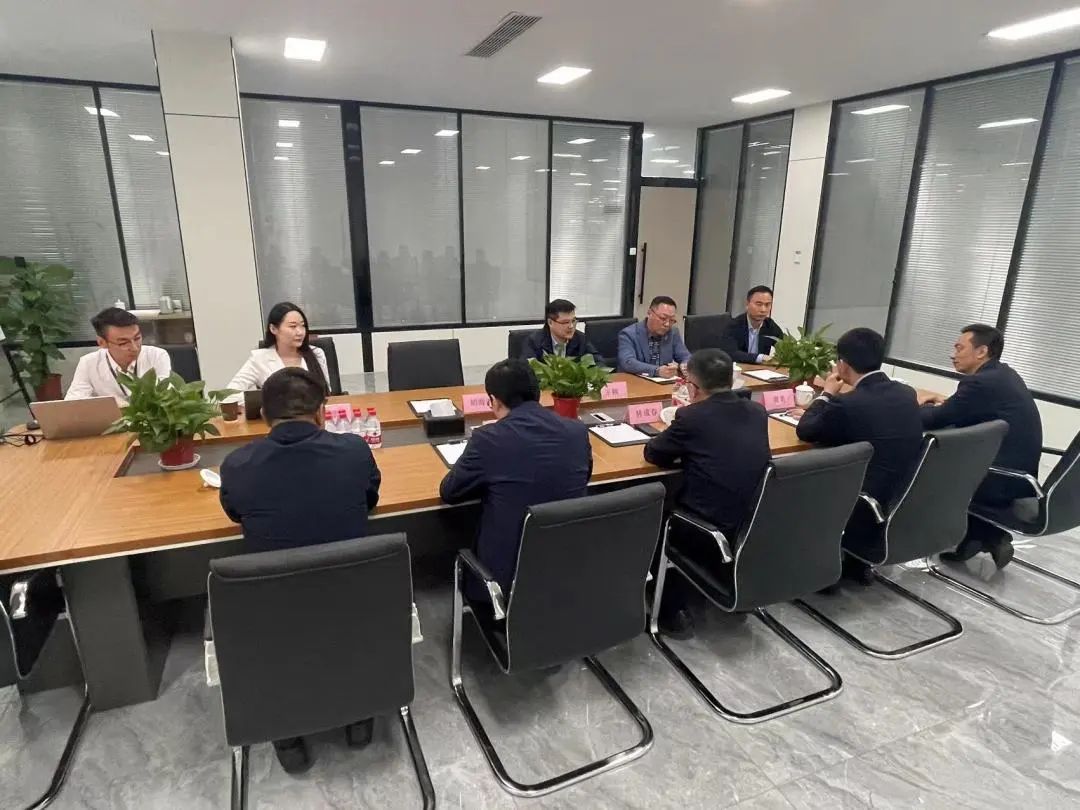 热烈欢迎林成春副市长等领导莅临BSport体育官网参观指导